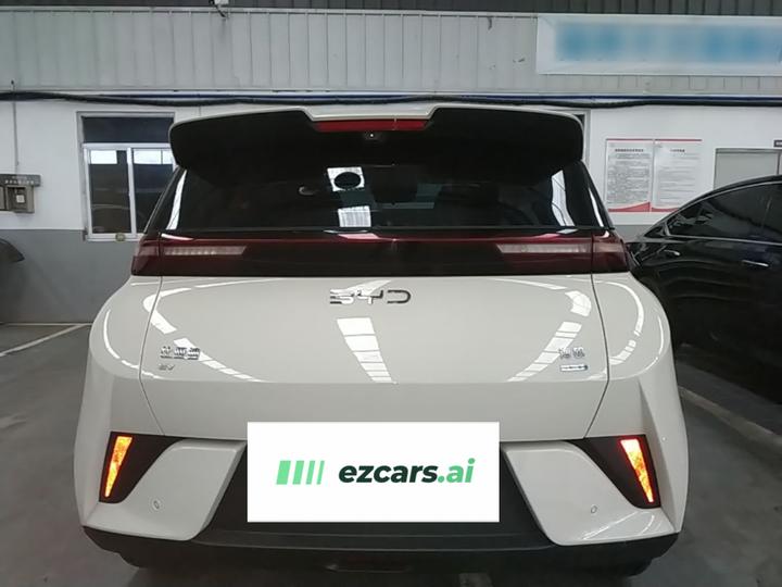 Seagull 2025 ADAS 305km photo 5