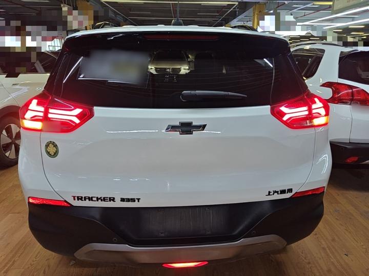 2019 Redline 335T CVT China VI photo 2