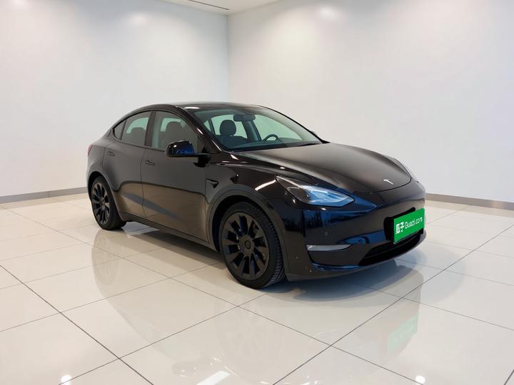 Model Y 2021 Standard Range RWD photo 3