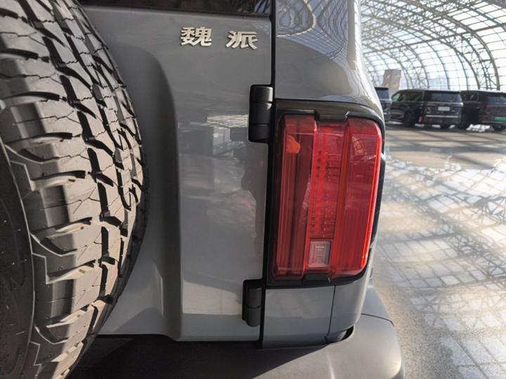 300 2021 Off-road 2.0T photo 7