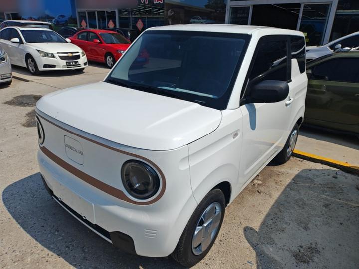 2024 Panda mini 200km Endurance Bear