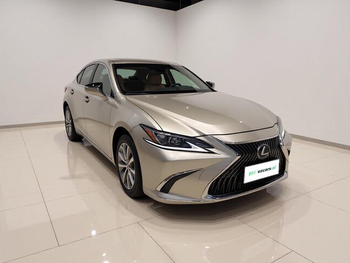 ES 2018 300h Excellence China V photo 3
