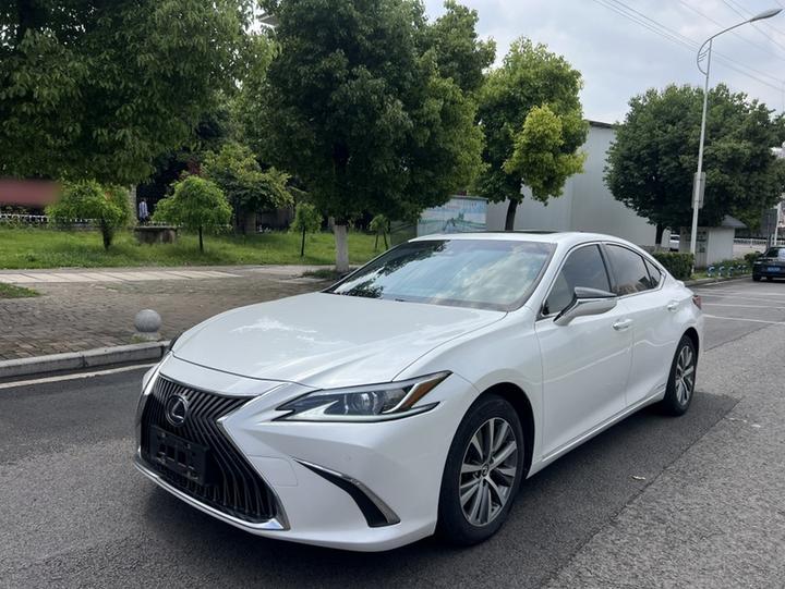 ES 2018 300h Excellence China VI