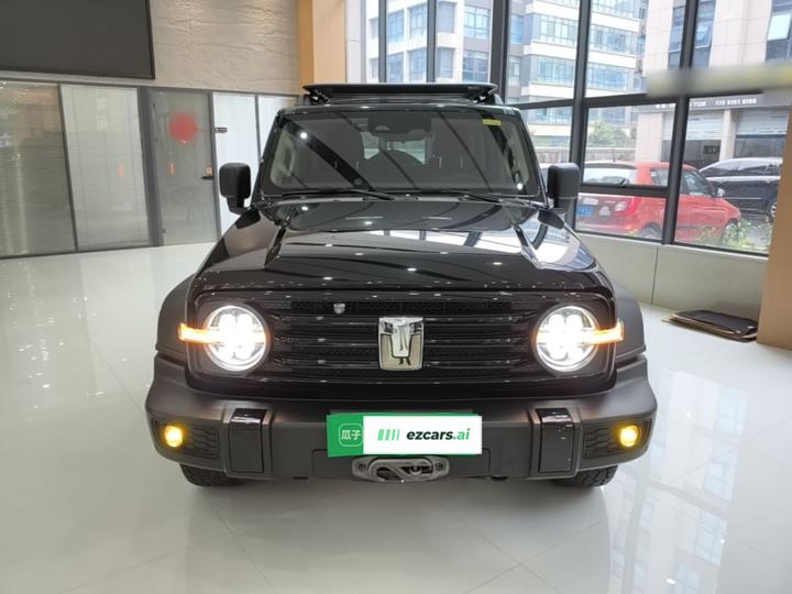 300 2024 2.0T Conqueror photo 2