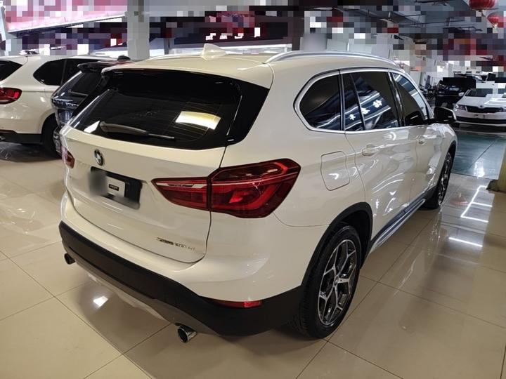 X1 2019 xDrive20Li Exclusive photo 4