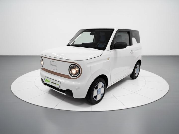 2024 Panda mini 200km Endurance Bear