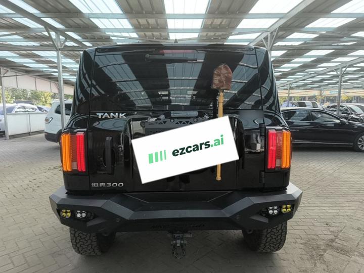 300 2023 Off-road 2.0T Conqueror photo 3