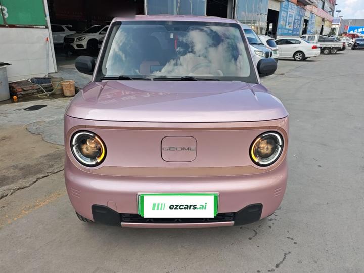 2024 Panda mini 200km Endurance Bear photo 2