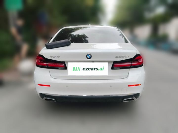 5 Series 2022 530Li Leading Luxury photo 5