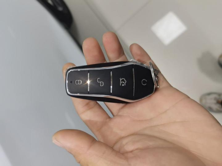 Song Pro EV 2025 2nd Gen ADAS DM-i 115KM photo 8