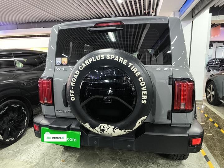 300 2021 Off-road 2.0T Conqueror photo 5