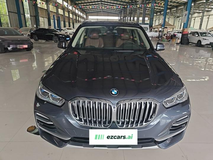 X5 Imported 2020 xDrive30i X Design Package photo 2