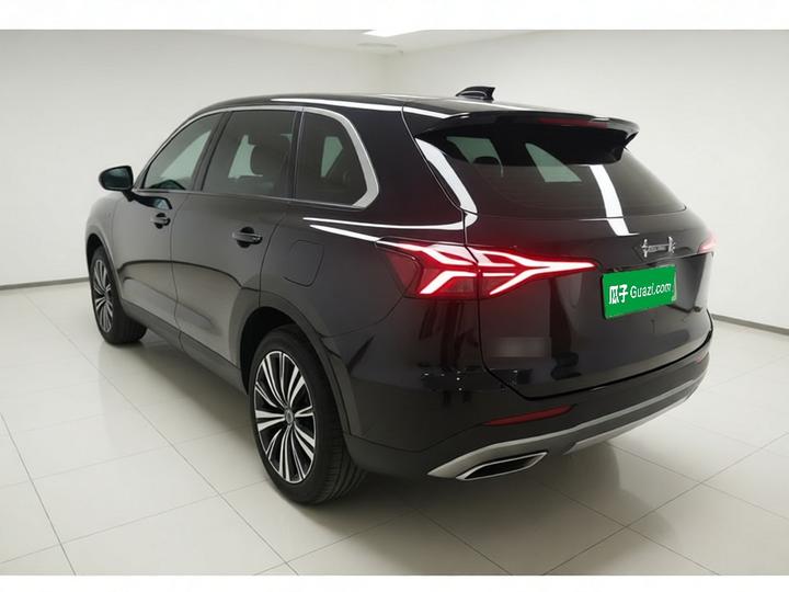 HS6 PHEV 2026 240 photo 4
