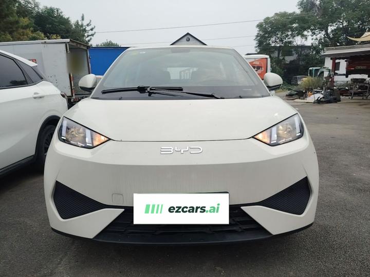 Seagull 2025 ADAS 305km photo 2