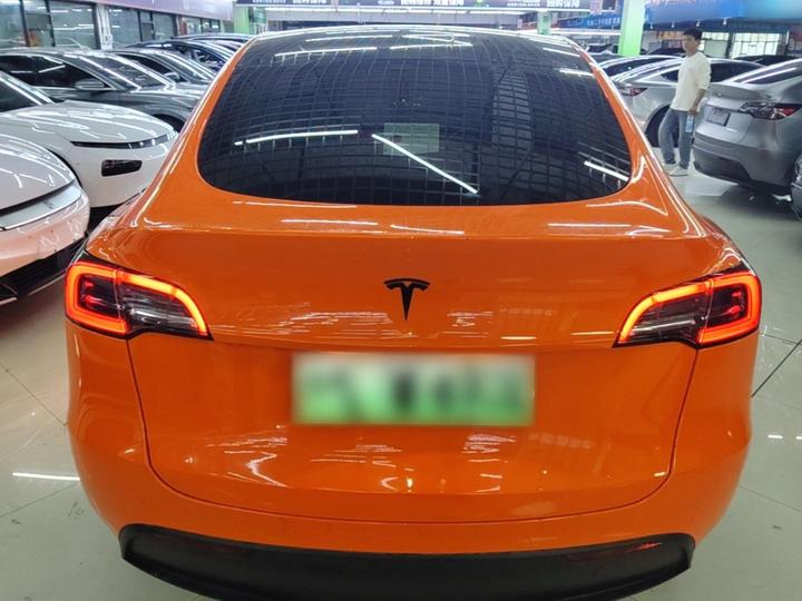Model Y 2021 Long Range AWD photo 3