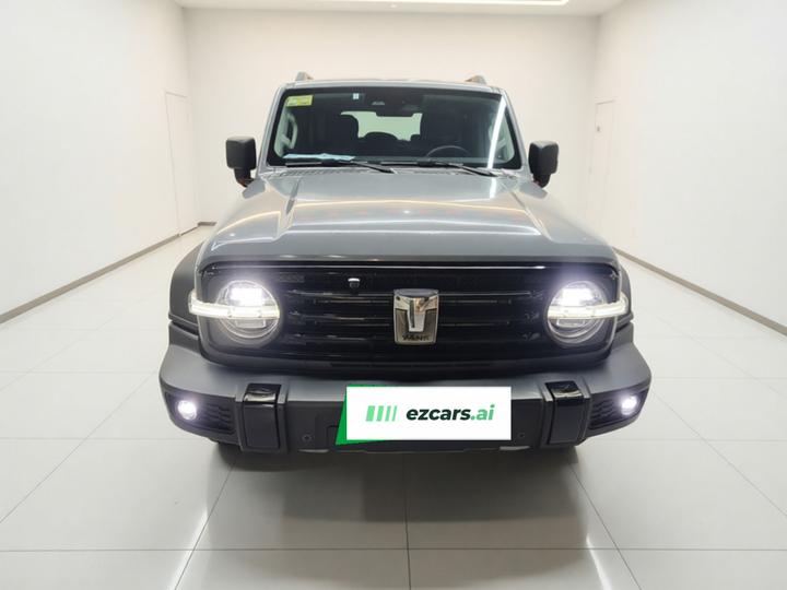 300 2021 Off-road 2.0T Conqueror photo 2