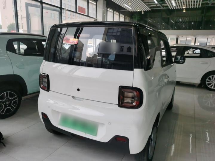 2023 Panda mini 200km Endurance Bear photo 6