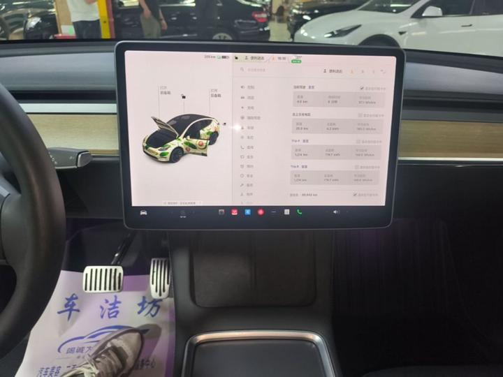 Model Y 2021 Standard Range RWD photo 7