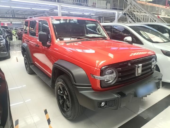 300 2023 Off-road 2.0T Conqueror photo 3