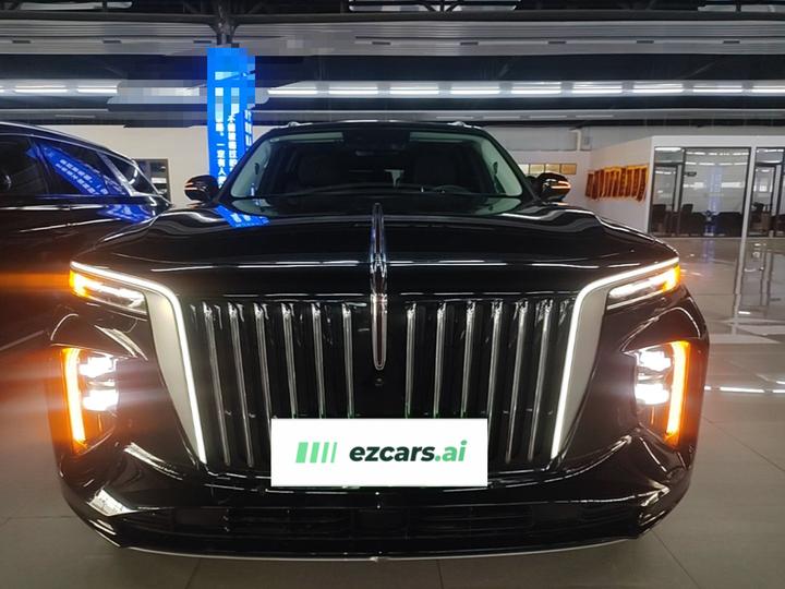 E-HS9 2021 460km 6-Seater photo 2