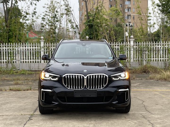 X5 2022 Facelift xDrive 30Li M Sport Package photo 2