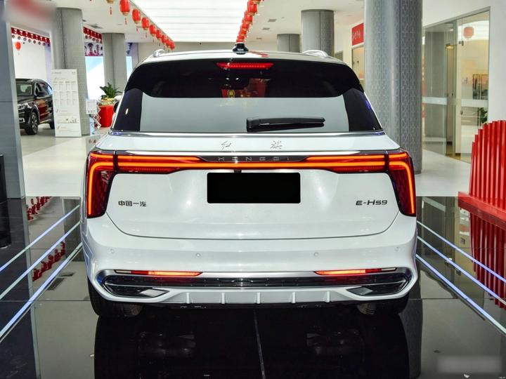 E-HS9 2025 660km 4-Seater photo 5