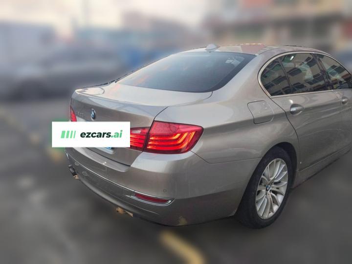 5 Series 2017 525Li Luxury Design Package photo 6