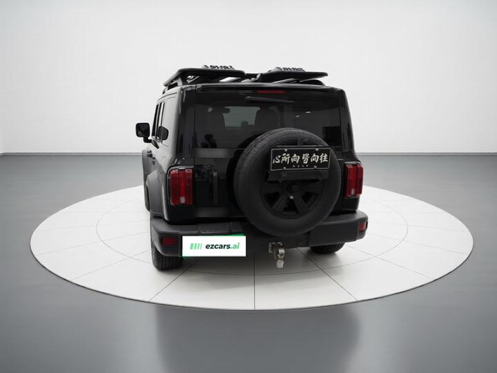 300 2023 Off-road 2.0T Conqueror photo 5