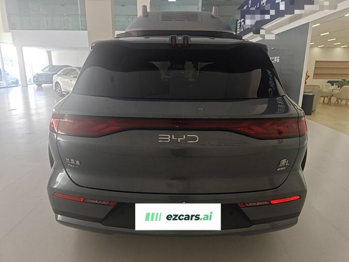 Tang L 2025 DM 175KM photo 3