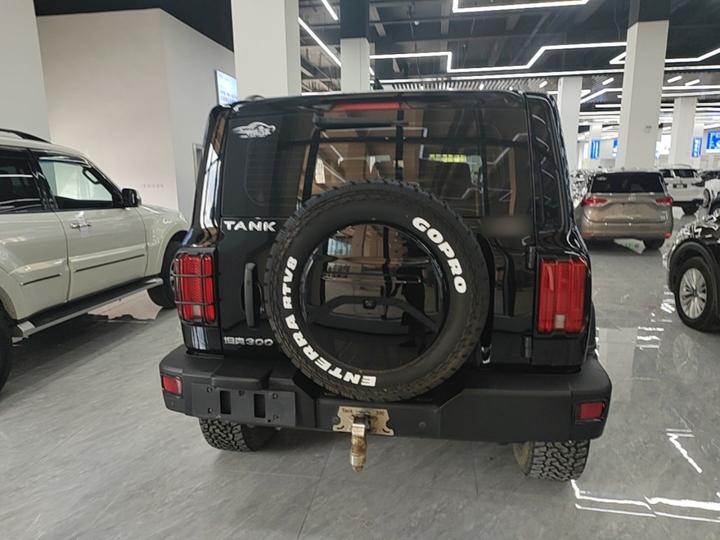 300 2023 Off-road 2.0T Conqueror photo 3