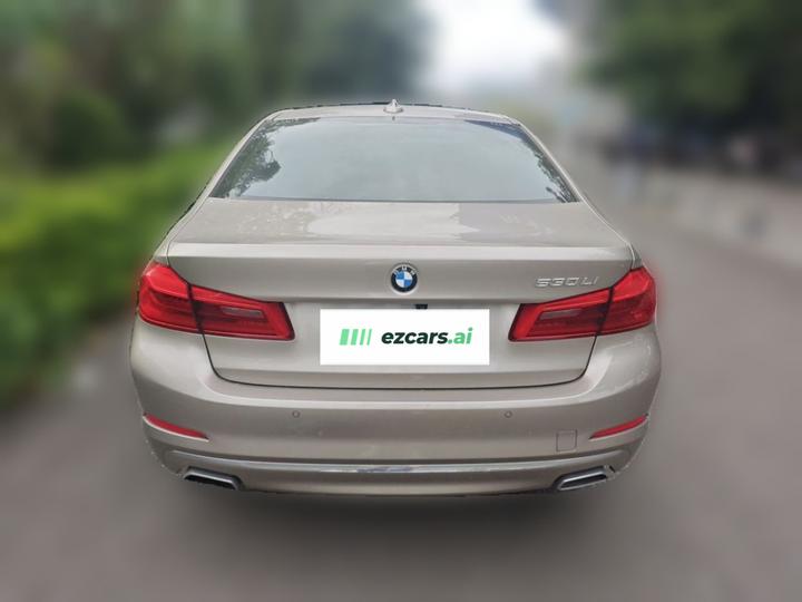 5 Series 2020 530Li Exclusive Luxury photo 5