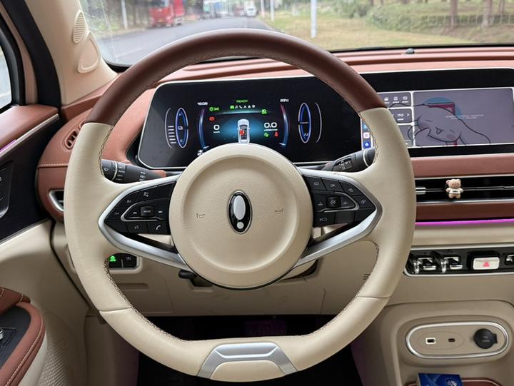 Good Cat 2023 401km Standard Range Luxury LFP photo 3