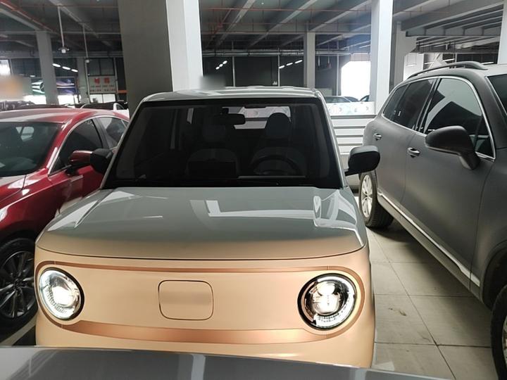 2023 Panda mini 200km Endurance Bear photo 2