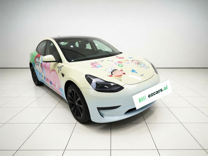 Model 3 2022 RWD photo 3