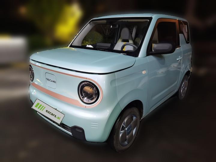 2024 Panda mini 200km Endurance Bear