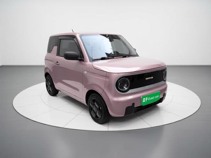2024 Panda mini 200km Endurance Bear photo 3