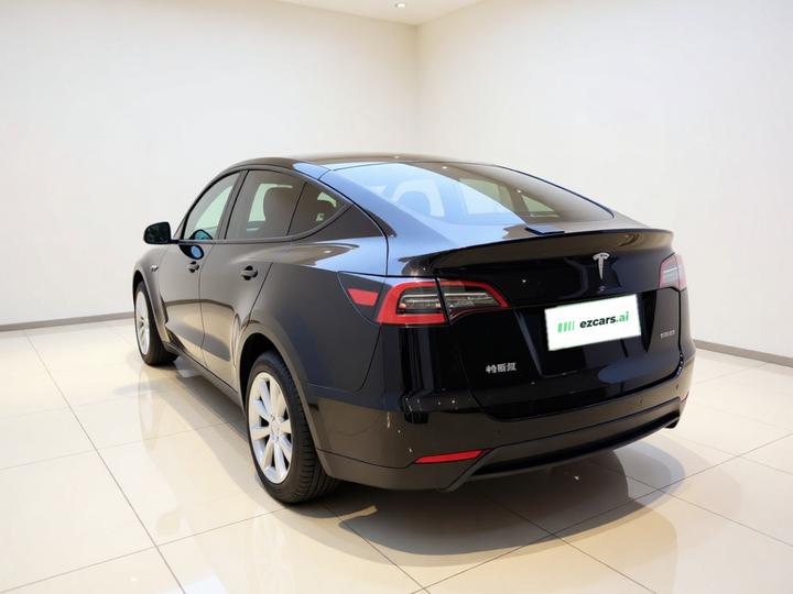 Model Y 2021 Long Range AWD 3D7 photo 4