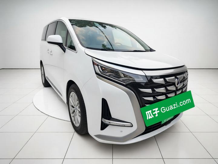 D9 2024 DM-i 980 AWD Noble photo 3