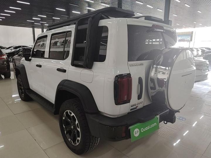 300 EV 2025 Hi4-T 37.1kWh photo 4