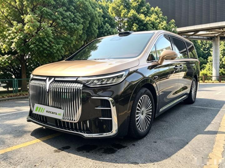 Voyah Dreamer 2025 PHEV AWD Flagship Qiankun