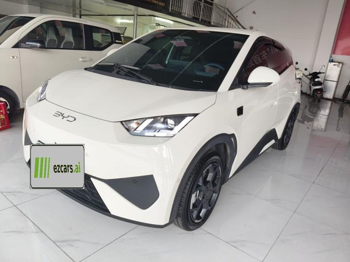 Seagull 2025 ADAS 305km