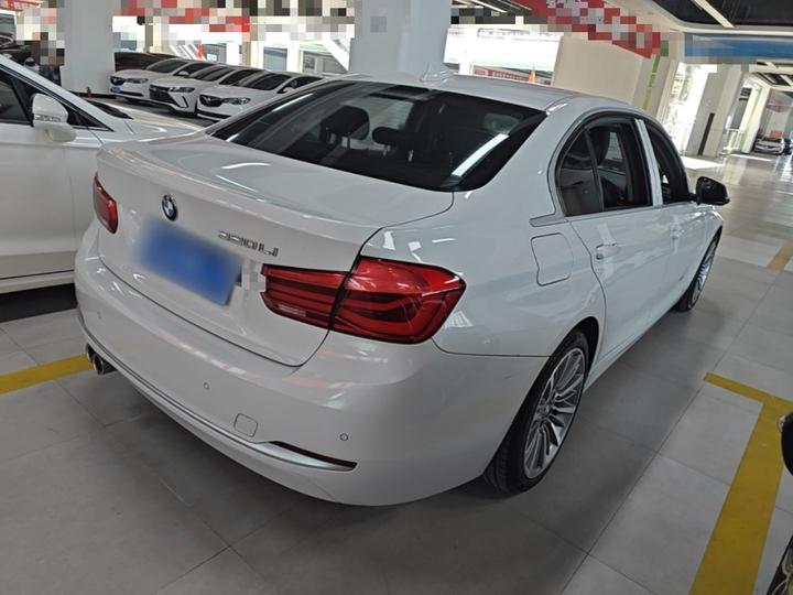 3 Series 2019 320Li Fashion photo 6