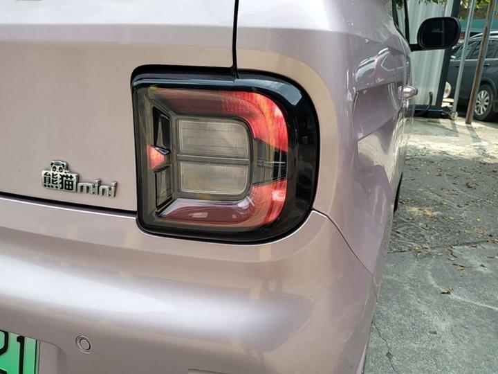 2023 Panda mini 200km Endurance Bear photo 7