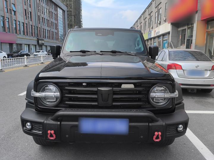 300 2023 Off-road 2.0T photo 2