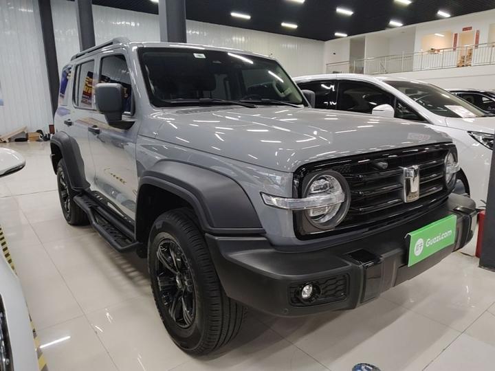 300 2021 Off-road 2.0T Conqueror photo 3
