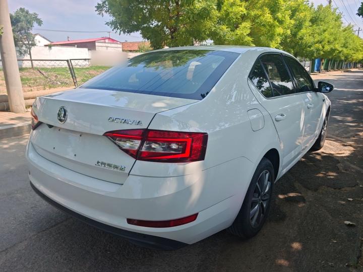 Octavia 2019 1.5L AT Comfort photo 4
