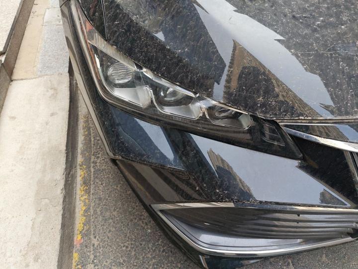 Avalon 2021 2.5L Luxury photo 7