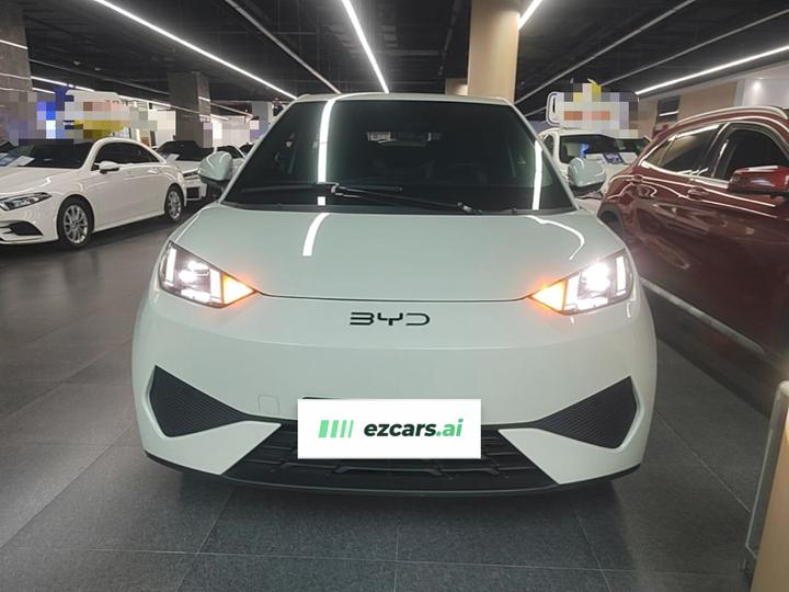 Seagull 2025 ADAS 405km photo 2