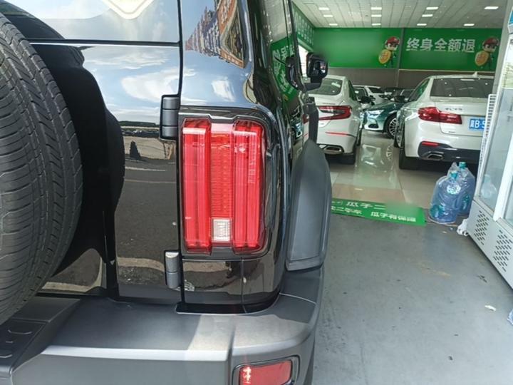 300 2021 Off-road 2.0T Conqueror photo 7