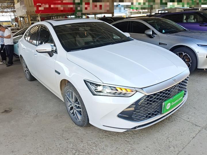 Qin PLUS 2023 Champion DM-i 120KM Leading photo 3